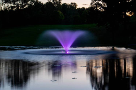 When Do Discount Pond Fountains Go on Sale? A Seasonal Buying Guide
